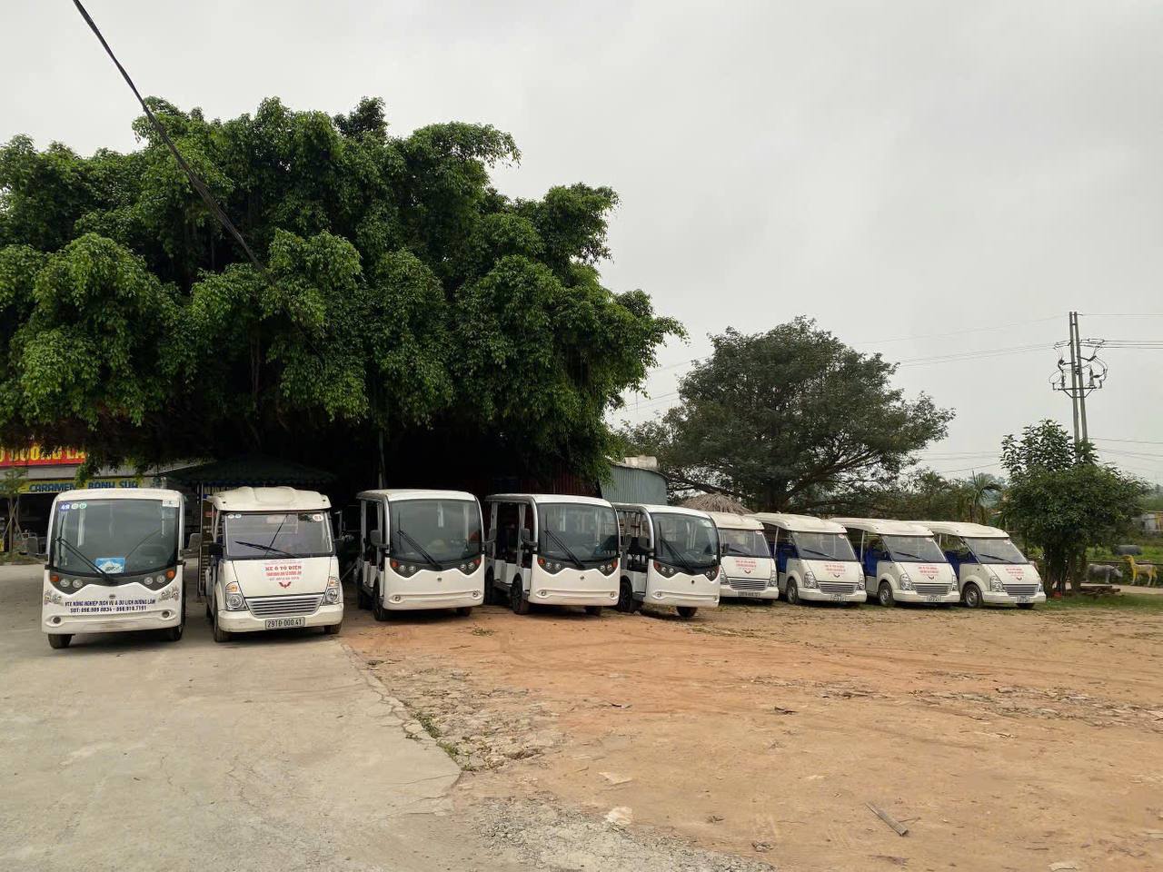 Du khách đi xe điện tại Đường Lâm